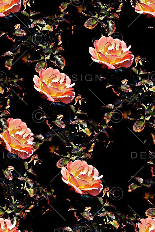 抽象手绘植物玫瑰花花卉数码印花印花华亿平台图片