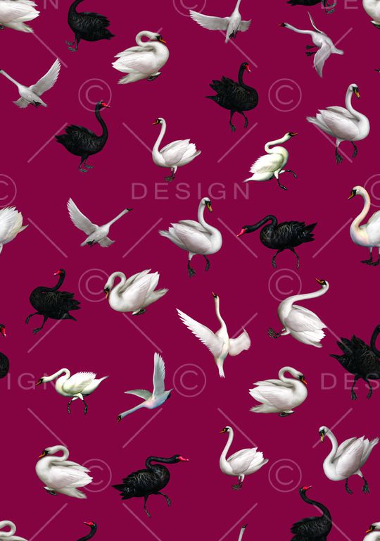 天鹅印花华亿平台图片