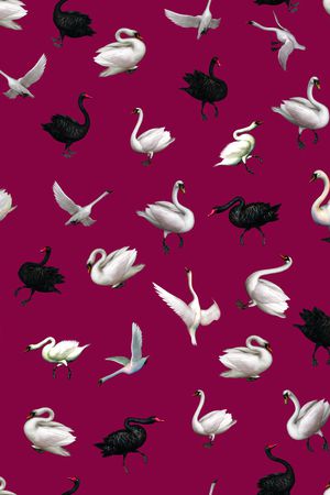 天鹅印花华亿平台图片