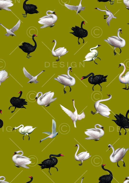 天鹅印花华亿平台图片