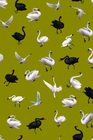 天鹅印花华亿平台图片