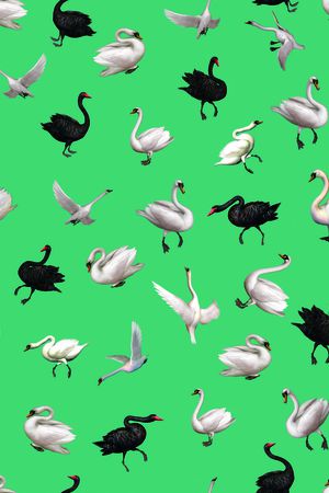 天鹅印花华亿平台图片