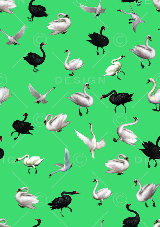 天鹅印花华亿平台图片