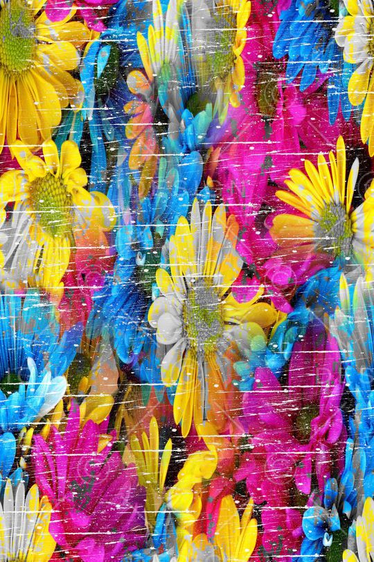 菊花印花华亿平台图片