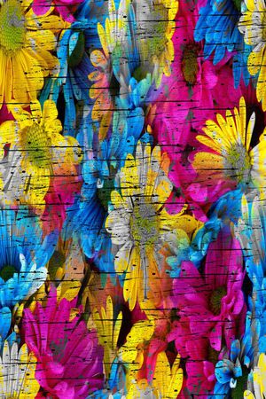 菊花印花华亿平台图片