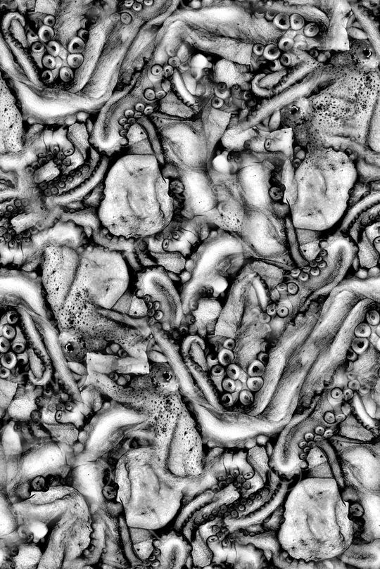 抽象手绘水彩章鱼数码印花印花华亿平台图片