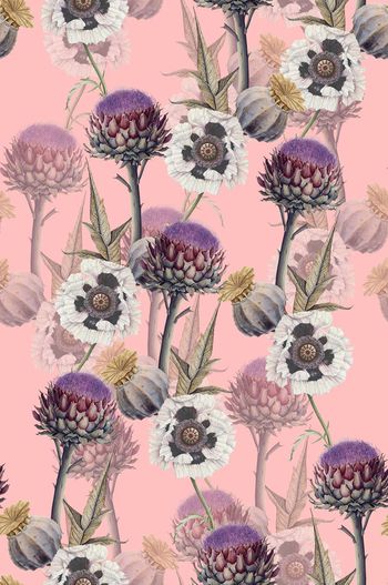 711900-wal-160925-4-2