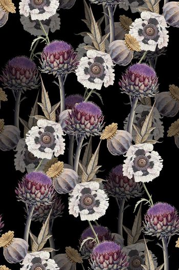 711901-wal-160925-4-3