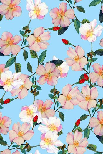 711944-wal-160925-6-2