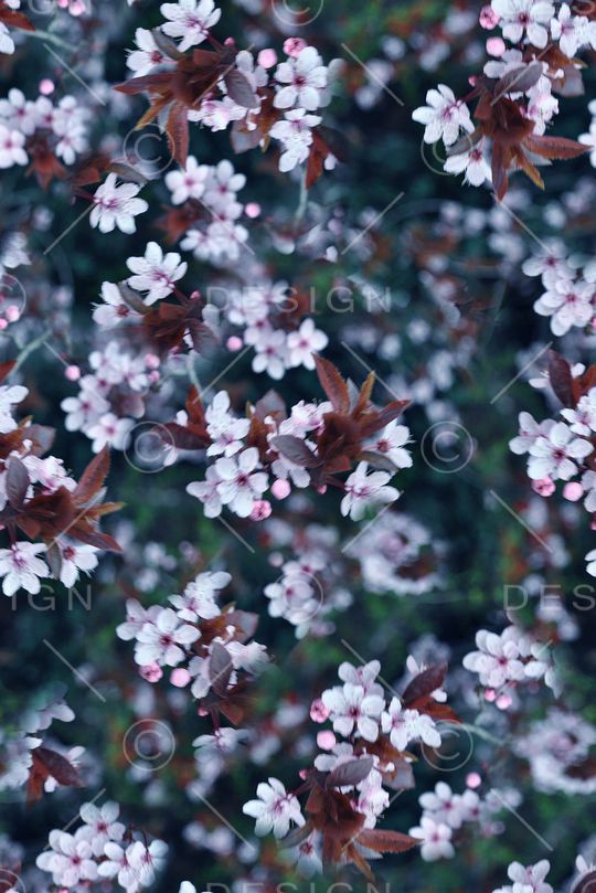 抽象3D植物花卉小碎花数码印花印花华亿平台图片