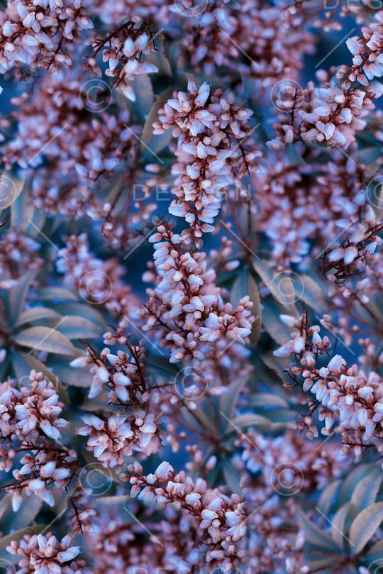 抽象3D植物花卉小碎花数码印花印花华亿平台图片