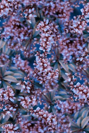 抽象3D植物花卉小碎花数码印花印花华亿平台图片