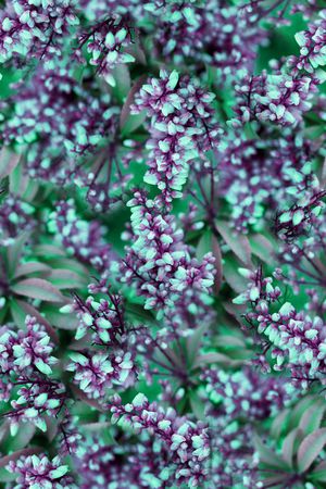 抽象3D植物花卉小碎花数码印花印花华亿平台图片