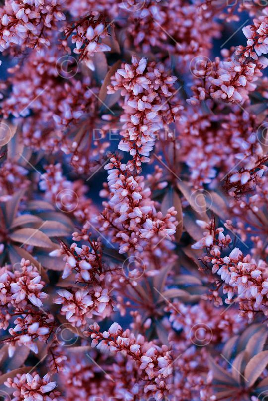 抽象3D植物花卉小碎花数码印花印花华亿平台图片