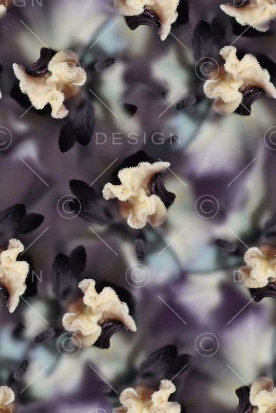 抽象3D植物花卉小碎花数码印花印花华亿平台图片