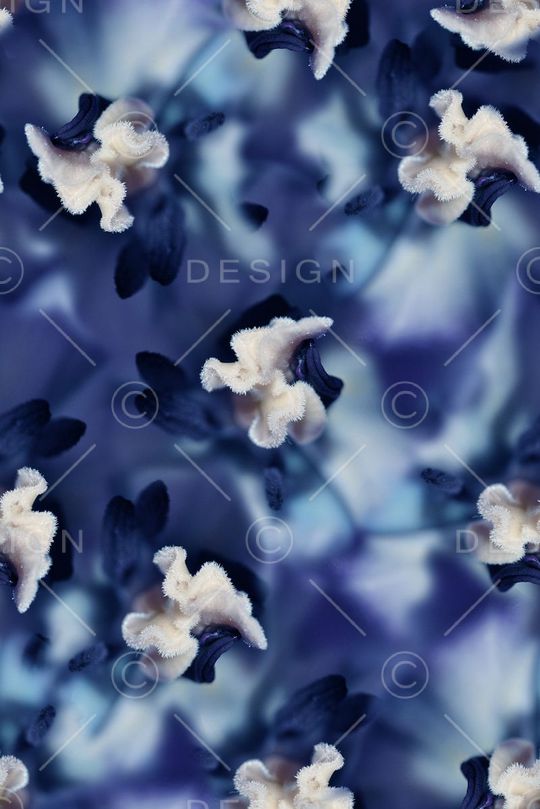 抽象3D植物花卉小碎花数码印花印花华亿平台图片