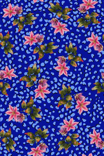 712092-花卉可爱豹纹底纹蓝