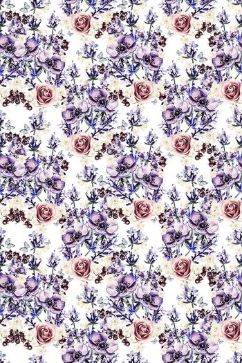 712143-花卉兰花玫瑰