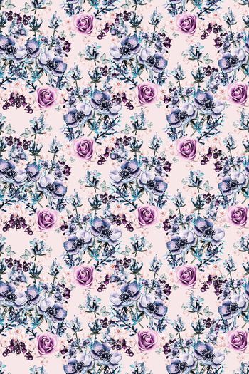 712145-花卉兰花玫瑰蓝