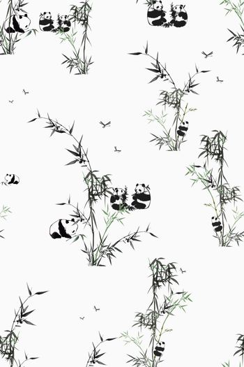 712147-吃竹子的熊猫