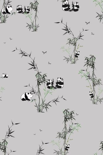 712148-吃竹子的熊猫灰