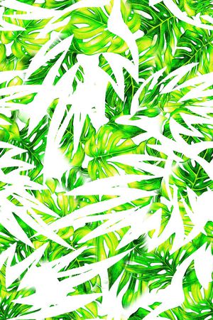 泳装印花华亿平台图片