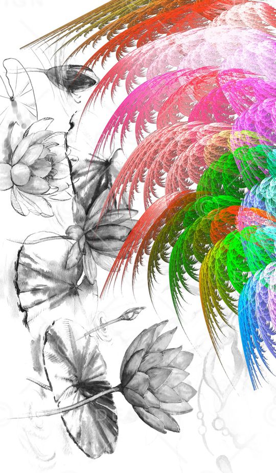 黑白印花华亿平台图片