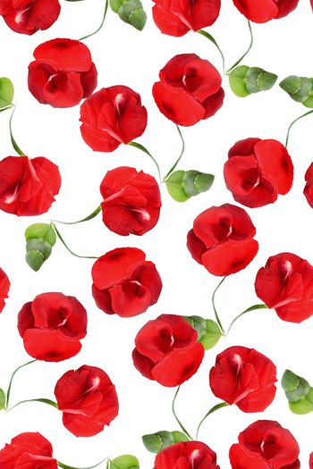 712635-2016-9-23水彩艳丽花卉2