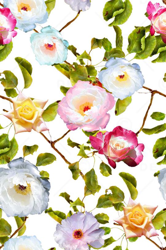 女装印花华亿平台图片