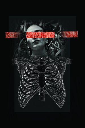 女装印花华亿平台图片