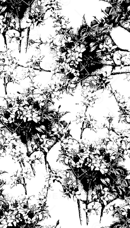 黑白花卉女装印花华亿平台图片