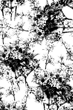 黑白花卉女装印花华亿平台图片