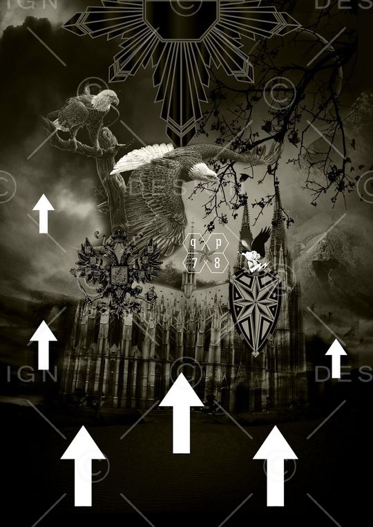 Fei-男装印花华亿平台图片