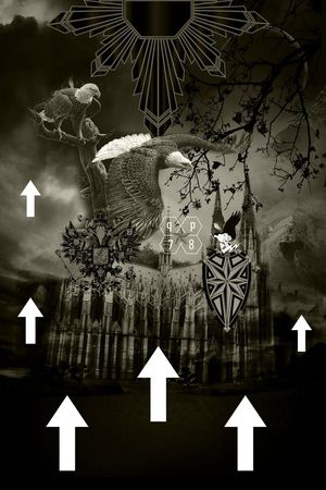 Fei-男装印花华亿平台图片