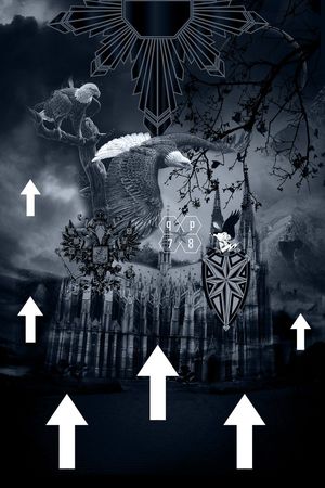 Fei-男装印花华亿平台图片