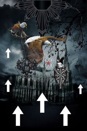 Fei-男装印花华亿平台图片