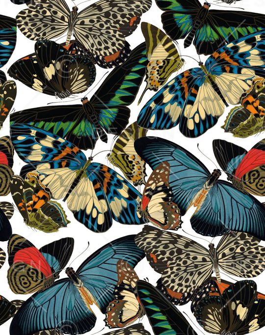 蝴蝶纹印花华亿平台图片