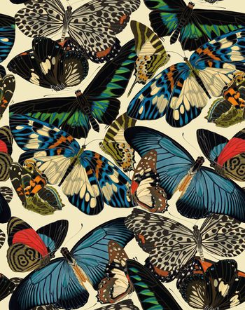 713015-女装复古蝴蝶粉