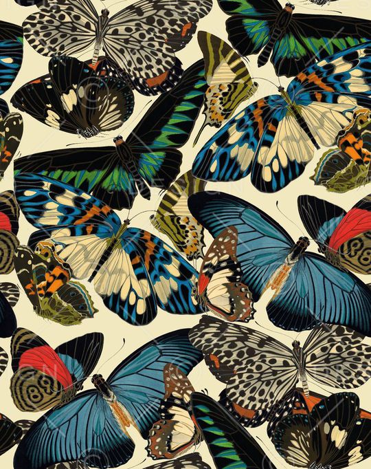 蝴蝶纹印花华亿平台图片