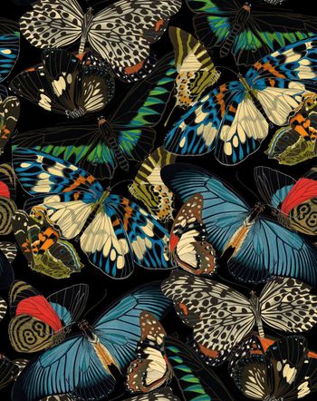 713016-女装复古蝴蝶黑