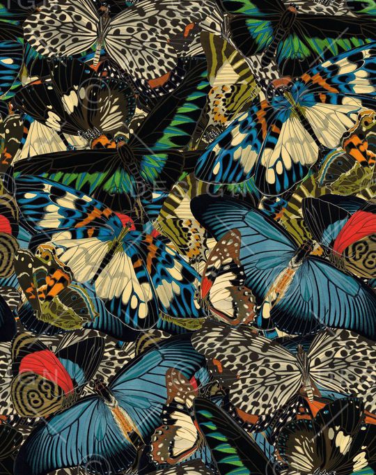 蝴蝶纹印花华亿平台图片