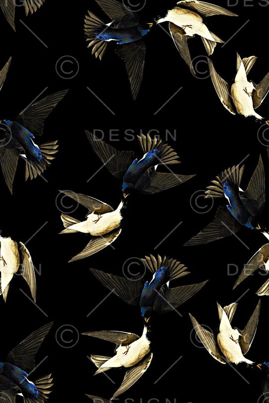 手绘鸟印花印花华亿平台图片