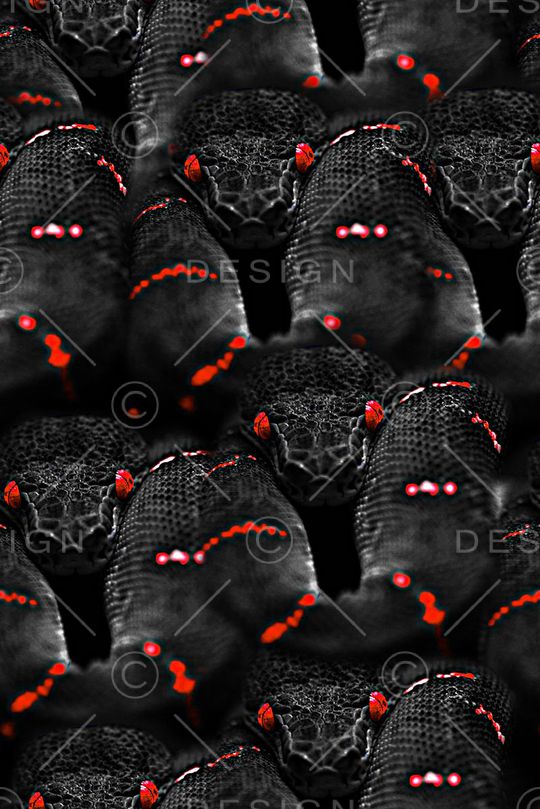 抽象手绘蛇纹印花印花华亿平台图片