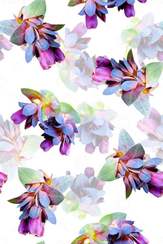 植物印花华亿平台图片