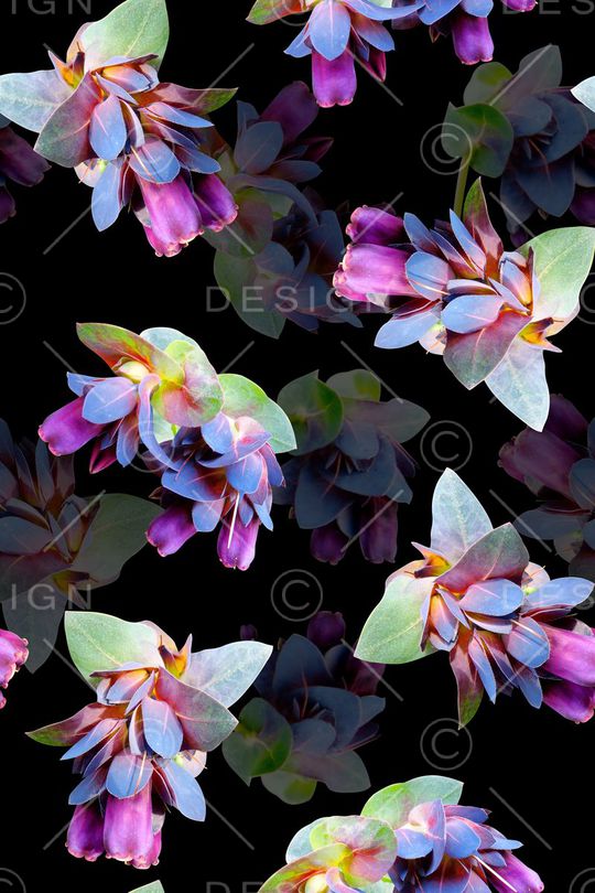 植物印花华亿平台图片