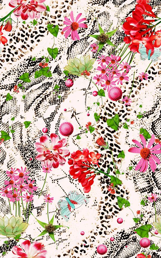 雏菊印花华亿平台图片