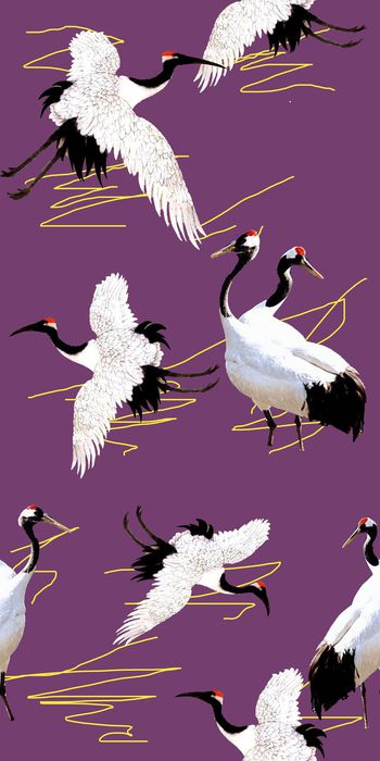 鸟印花华亿平台图片