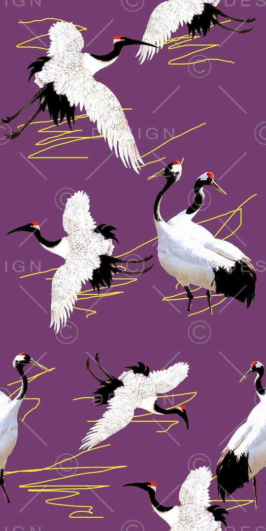 鸟印花华亿平台图片