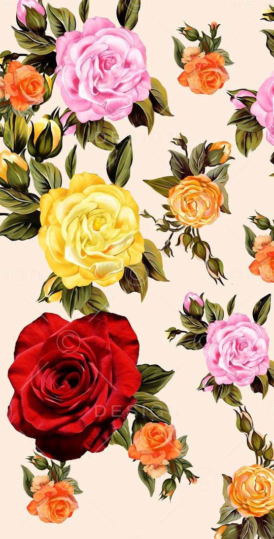 杜嘉班纳印花华亿平台图片