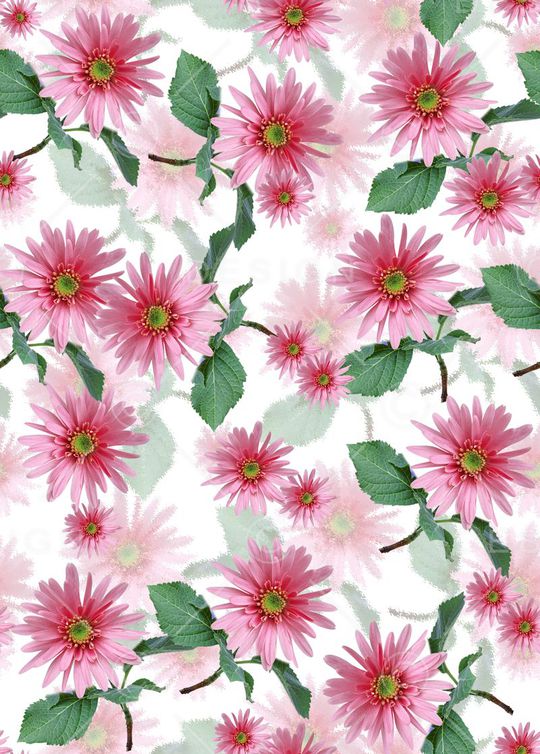 莫妮卡-大牌华亿平台印花华亿平台图片